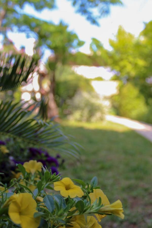 Apartments Hrabar Trogir Ngoại thất bức ảnh